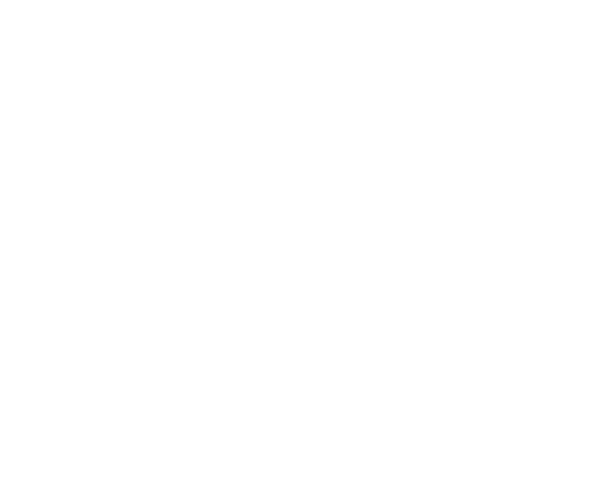 Ornamenta — Celebración sin límite